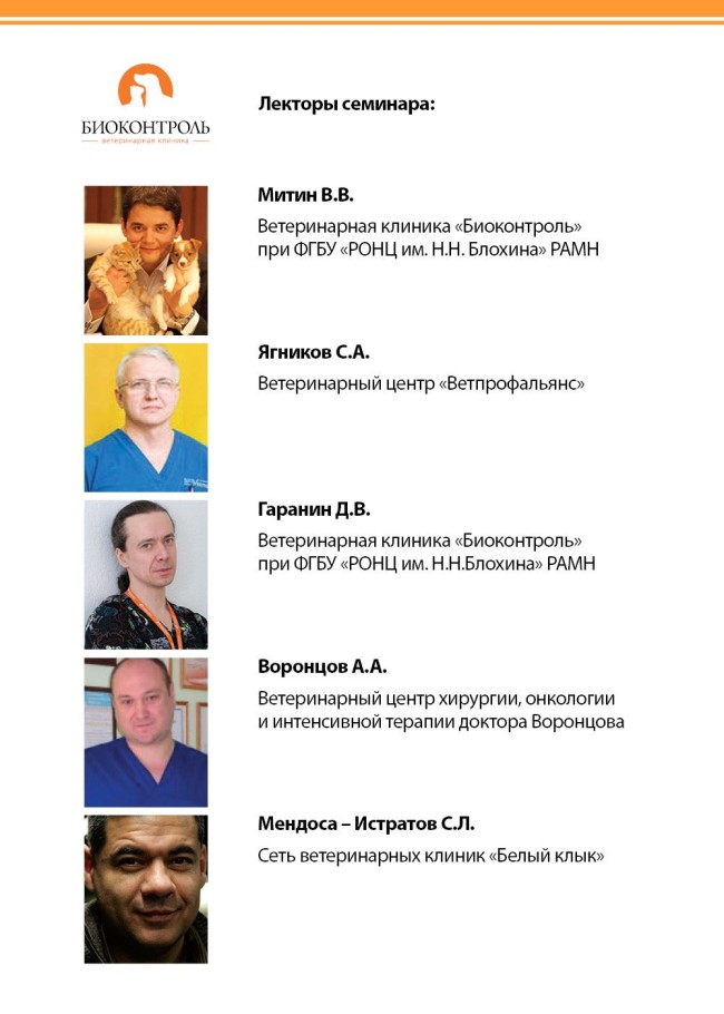митин2-1