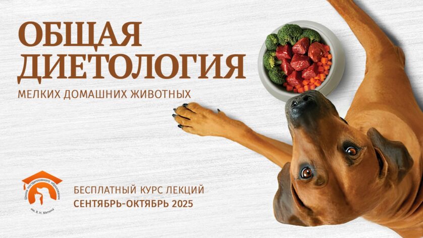 Бесплатный курс лекций «Общая диетология мелких домашних животных»