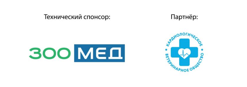 Партнеры