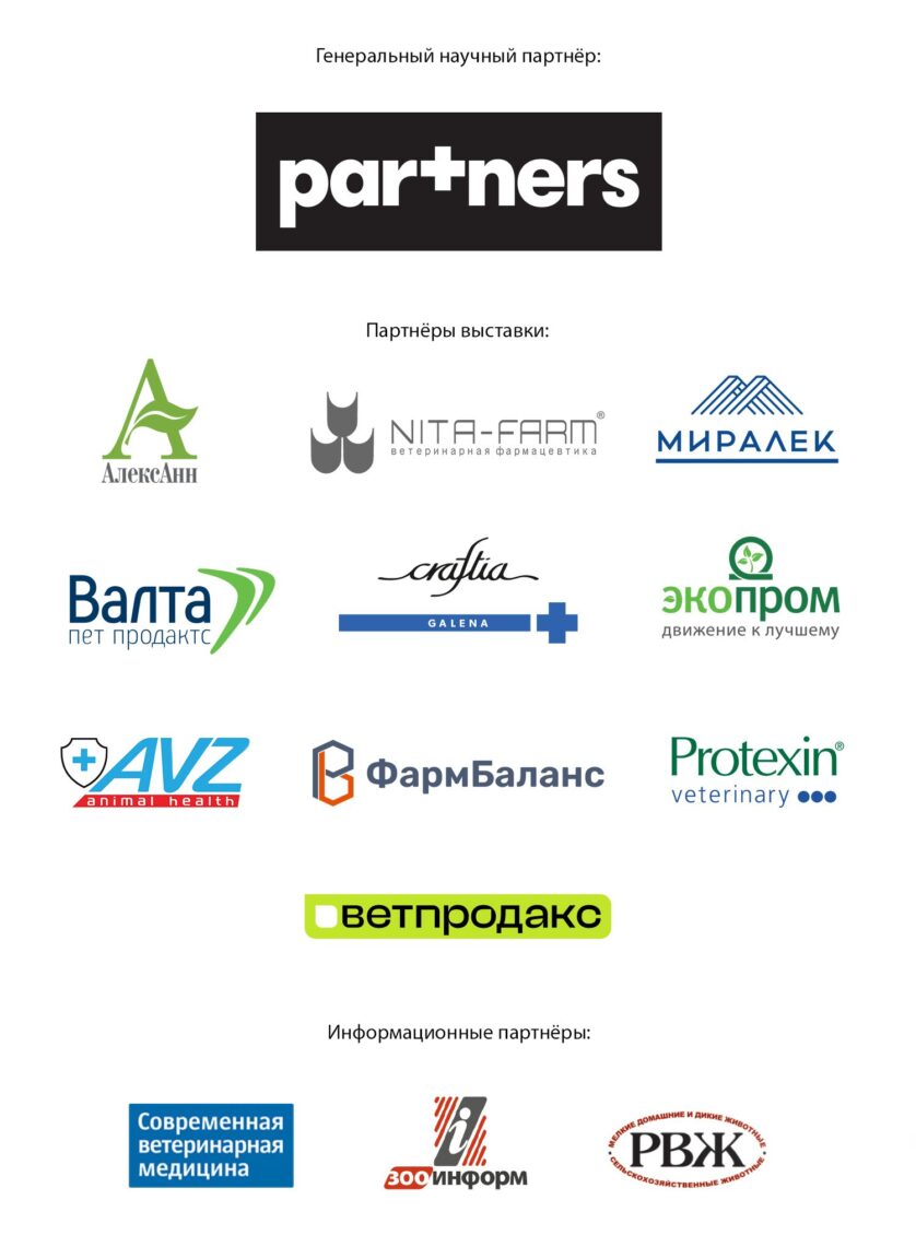 Партнеры