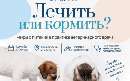 Круглый стол «Лечить или кормить? Мифы о питании в практике ветеринарного врача»