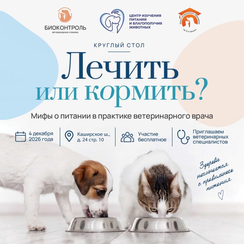 Круглый стол «Лечить или кормить? Мифы о питании в практике ветеринарного врача»