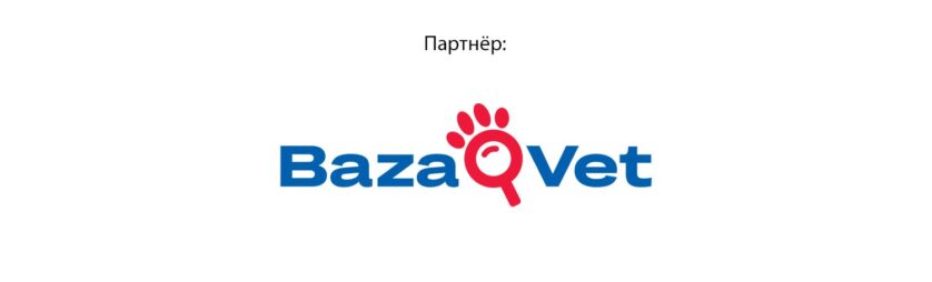 Партнер