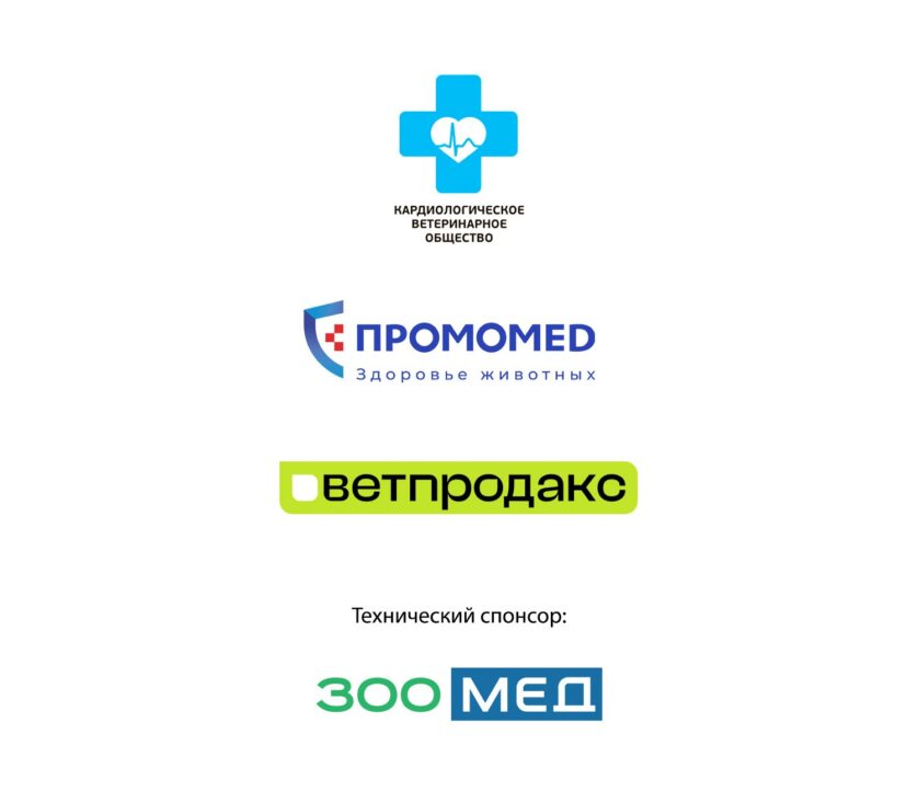 Партнеры